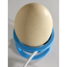ITS-1 egg shell temperature meter.